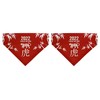 Lunar New Year Party Favor 2022 Year of The Tiger