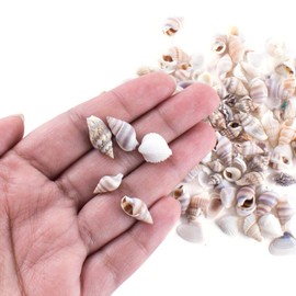 Super Z Outlet Tiny Miniature Fairy Garden Beach Critter Seashells Marine Life Collection for Vase Filler (2 Tbsp Pack)