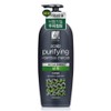 Elastine Bamboo Charcoal Scalp Purifying Shampoo, 680ml, 1 unit / 엘라스틴 대나무 숯 두피정화 샴푸, 680ml, 1개