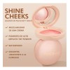Phofay Rubor Maquillaje Rostro Blush Polvo Color Varios 3g
