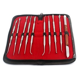 OdontoMed2011 Dental LAB Equipment Dental Dentist Sculpture KIT 'Wax Carving' Tool Set,10 PCS/Set ODM