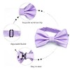 Alizeal Mens Solid Color Adjustable Bow Ties, Lilac
