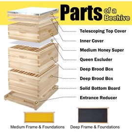 BeeCastle 10-Frame Complete Bee Hives and Supplies Starter Kit,Beehives for Beginners with Beehive Frames and Waxed Foundations (2 Deep Bee Boxes & 1 Medium Super Bee Box)