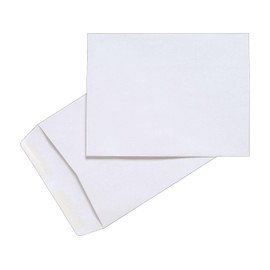 Staples 295840 Gummed Catalog Envelopes 10-Inch L x 13-Inch H White 100/Box (295840N)