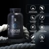 Creatina Monohidratada en Cápsulas | 240 Cáps de Creatina para
