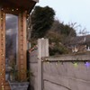 Festive Lights - 10m Solar Power Multi Function Fairy String