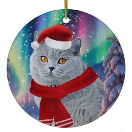 Funny Blue British Shorthair Cat Christmas Ornament 2025 Ceramic Circle White - Festive Winter Northern Lights Holiday Xmas Tree Hanging Decoration Gifts for Cat Lovers
