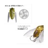 Megabass GH Spring Cicada Haruzemi