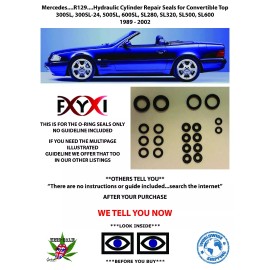 Wesbaun Consultants Inc Mercedes SL500 SL320 500SL Convertible Top Hydraulic Cylinder Repair Seals..R129