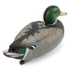 Volein Duck Decoy for Hunting, Mallard Floating Realistic Decoys, Plastic