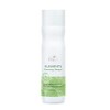 Wella Professionals Elements Renewing Shampoo 250 ml