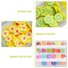 2 Boxes Polymer Fruit Flower Slices 3D Fruit Polymer Slices