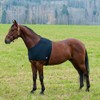Shoulder Vest for rain rugs, rug for horses, black, Choice:xl