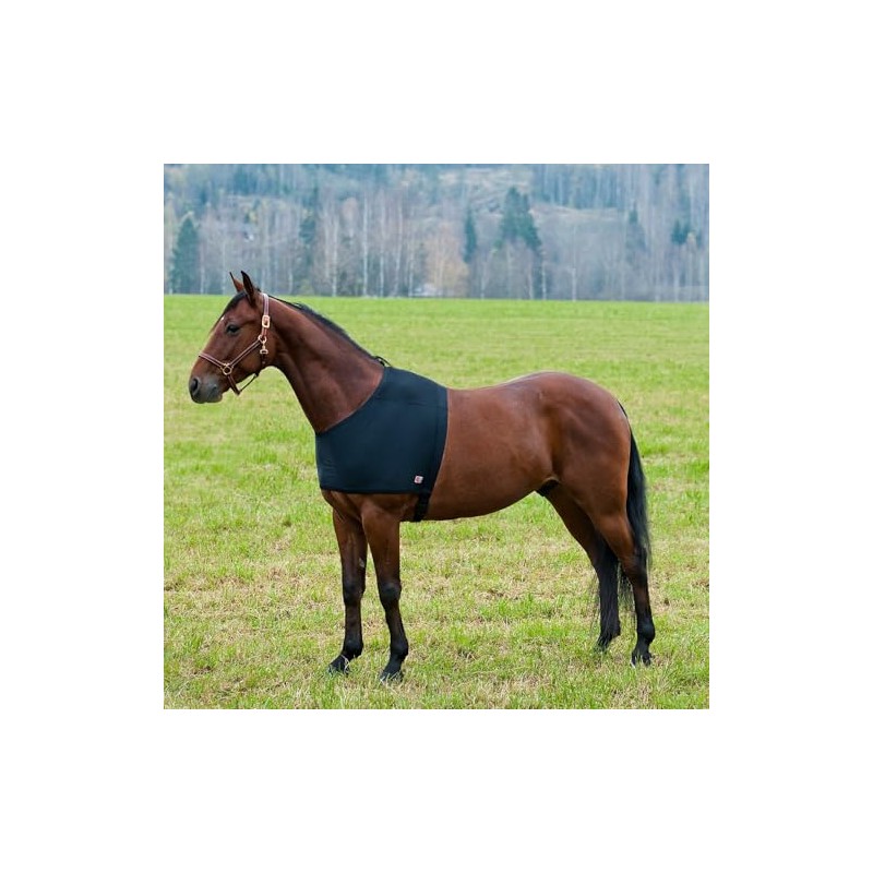 Shoulder Vest for rain rugs, rug for horses, black, Choice:xl