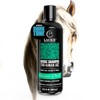 Lacrin Menta & Aloe Vera Champu de Caballo para Uso