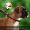 Wellbro Real Leather Slip Lead Dog Leash, Soft Adjustable Pet