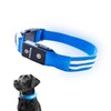 Tractive LED Light Up Dog Collar USB Rechargeable Waterproof (Blue),