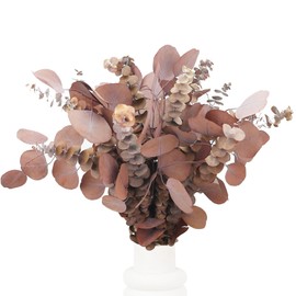 25 Pcs Dried Fall Eucalyptus Stems & Silver Dollar Leaves Bundle, 17" Orange Natural Real Fresh Eucalyptus, Preserved Fall Leaf Branches for Shower Hanging, Bathroom Decor, Garland, Greenery Plant