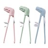Dinosaur Training Chopsticks,2pcs Chopsticks For Kids ,Reusable Chopsticks Learning Chopstick