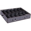 Under Bed Shoe Storage Organizer, Set of 1 Sturdy Closet