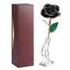 Long Stem Dipped 24k Gold Trim Red Rose In Gold