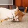 wonderflower Natural Silvervine Cat Chew Sticks, Feathered Cat Toys, 6-Piece