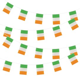 Ireland Bunting -20 Flags 31x20cm/10m