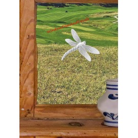 Dragonfly Oval Etched Window Decal Vinyl Glass Cling - 6" x 4" - Clear with White Design Elements