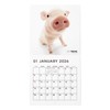 THE PIG 2026 Wall Calendar Mini Size (Pig)