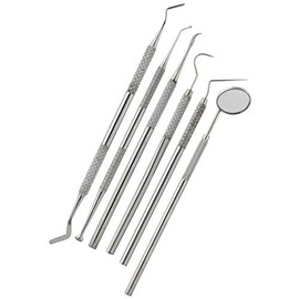 AAProTools 6 Dental Tarter Scraper Stainless Dentist Tools Plaque Remover Teeth Care PR-348