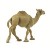 Safari Ltd. Wild Safari Wildlife Dromedary Camel
