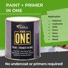 THE ONE All-In-One Paint & Primer - Charcoal Satin, 8.5