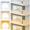 MIXX UNIQ 8-Pack Ceiling Fan Light Bulbs, 120V 40W Equivalent,