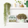 Funny St Patricks Day Gnome Desk Decor Wooden Box Sign