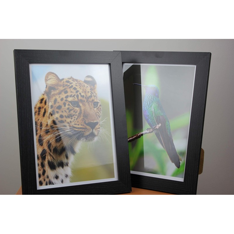 A4 Inkjet Premium Gloss Photo Paper - Heavy Weight -