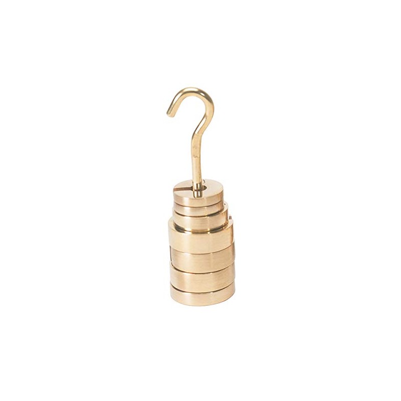 3B Scientific U30030 Set Of Slotted Weight, 20 g-100 g