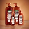 Garnier Whole Blends Smoothing Oil, Coconut Oil & Cocoa Butter