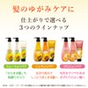 Diabote Oil In Conditioner (Smooth & Repair) Pump Treatment, 17.6