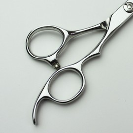 [axis] SG Scissor 6.0 Inch Hairdresser Hair Cutting Scissors [Axis]