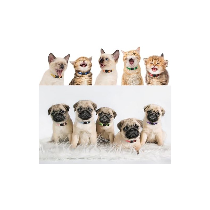 LAFAYI - Collar de perro para cachorro, 18 unidades, ajustable,