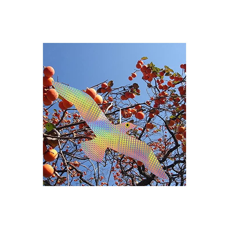40 Pcs Round Bird Collision Window Stickers,Anti Collision Glass Alert