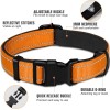 DOYOO Collar, 5 ft Rope Leash, Bowl, Orange 3 Piece