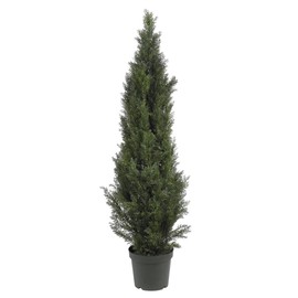 Nearly Natural 5291 5ft. Mini Cedar Pine Tree (Indoor/Outdoor),Green,5'
