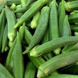 Fresh 100+ Organic CLEMSON SPINELESS 80 OKRA SEEDS - Đậu Bắp - HEIRLOOM VEGETABLE 2025