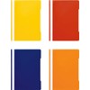 Conipa® 13 x File Folders Assorted Colours (Set) DIN A4