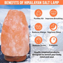 ZenGlo Himalayan Salt Lamp 6~8 Inch Tall with Dimmer Control Switch, Elegant Wood Base for Home Décor Holiday Gifts