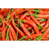 Pure Herbs: Capsicum (Red Habanero Pepper) - 1 oz.