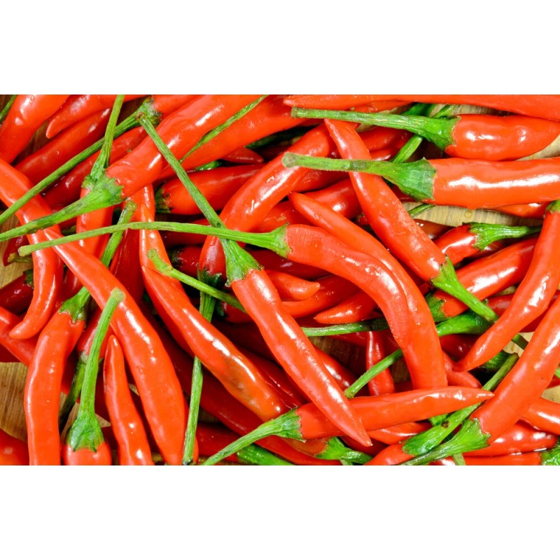 Pure Herbs: Capsicum (Red Habanero Pepper) - 1 oz.