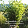 effective nature - Organic Oregano Essential Oil - 30 ml
