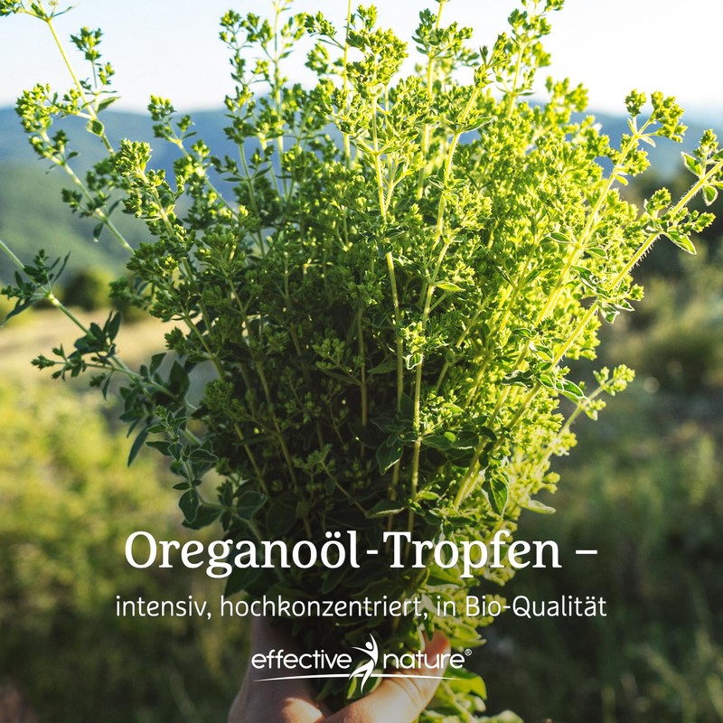 effective nature - Organic Oregano Essential Oil - 30 ml